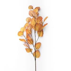 Decoratietakken Eucalyptus | Geel | 85cm