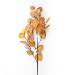 Decoratietakken Eucalyptus - Geel - 85cm