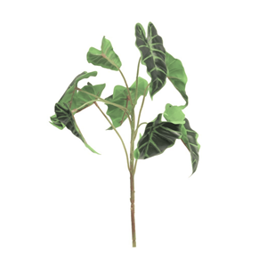 Decoratietakken Alocasia | 45cm