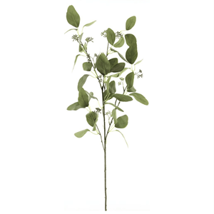 Decoratietakken Eucalyptus bloemtrosjes - 115cm