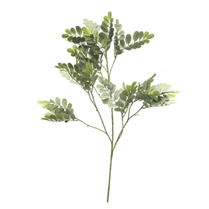 Decoratietakken Robiniatak | 95cm
