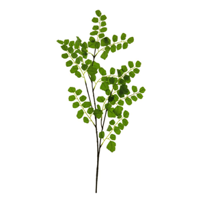 Decoratietakken Acaciatak | 90cm