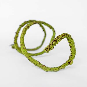 Decoratietakken Kunst Buigstam | Groen | 100cm