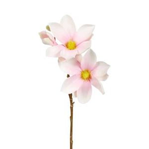 Decoratietakken Magnolia Roze | Wit | 40cm