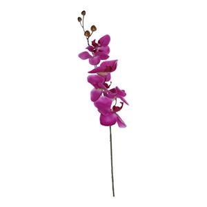 Decoratietakken Orchidee | Paars | 75cm