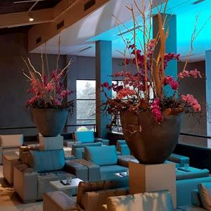 Decoratietakken Orchidee | Roze | 75cm