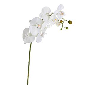 Decoratietakken Orchidee | Wit | 100 cm