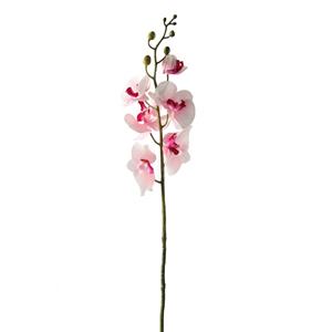 Decoratietakken Orchidee | Wit/Fuchsia | 85cm