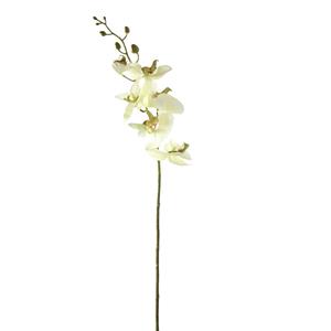 Decoratietakken Orchidee | Zachtgroen | 85cm