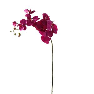 Decoratietakken Orchidee | Magenta | 100cm