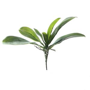 Decoratietakken Orchidee blad 30 cm