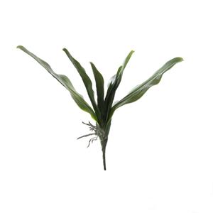 Decoratietakken Orchideeblad | 35cm