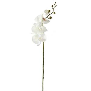Decoratietakken Orchidee | Wit | 85cm