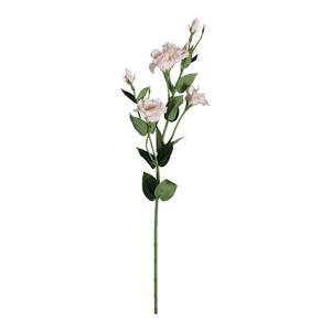 Decoratietakken Eustoma | Perzik | 80cm