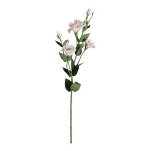 Decoratietakken Eustoma Perzik  80 cm