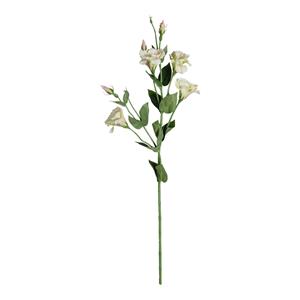 Decoratietakken Eustoma | Groen-Roze | 80cm