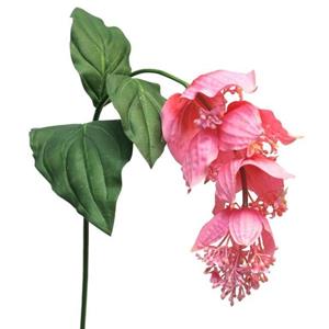 Decoratietakken Medinellabloem | Roze | 110cm