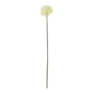 Decoratietakken Allium White Klein 50 cm
