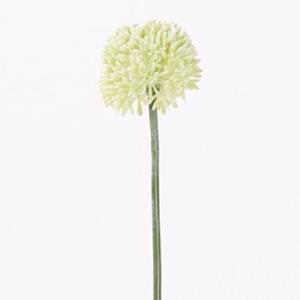 Decoratietakken Allium groot | Wit | 65cm