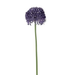 Decoratietakken Allium groot | Paars | 65cm