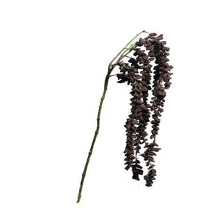 Decoratietakken Kattenstaart Amarant | Aubergine | 100cm