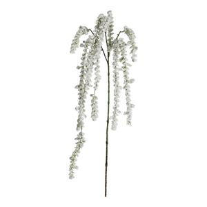 Decoratietakken Kattenstaart Amarant | Wit | 100cm