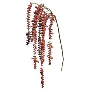 Decoratietakken Kattenstaart Amarant | Rood | 100cm