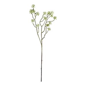 Decoratietakken Arborescens - Groen - 60cm