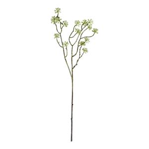 Decoratietakken Arborescens | Groen | 60cm