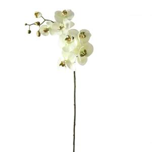 Decoratietakken Schermbloem | Zachtgroen | 70cm