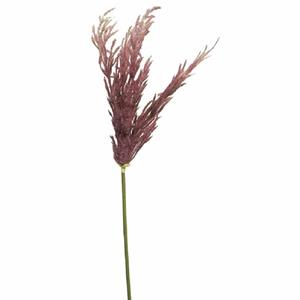 Decoratietakken Graspluim | Lichtpaars | 95cm