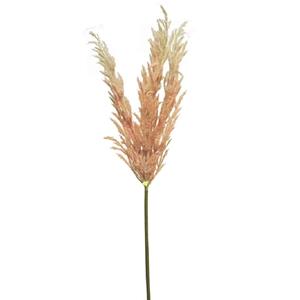 Decoratietakken Graspluim | Roze | 95cm