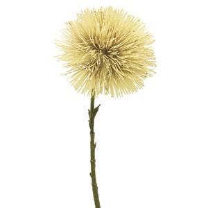 Decoratietakken Taraxacum - Creme - 45cm