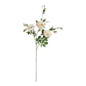 Decoratietakken Wilde Roos | Crème | 100 cm