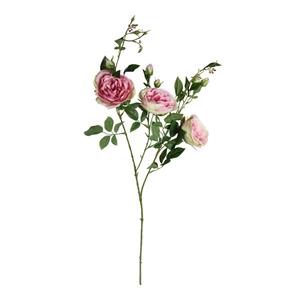 Decoratietakken Wilde Roos | Roze | Groen 100 cm