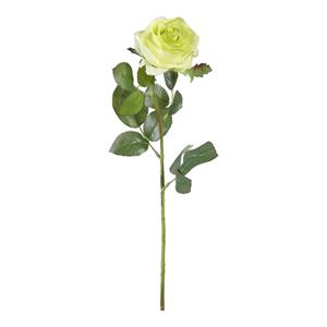 Decoratietakken Roos | Zachtgroen | 65cm