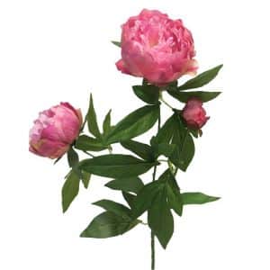 Decoratietakken Pioenroos - Roze - 70cm