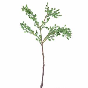 Decoratietakken Besjestak wilde roos | Groen | 55cm