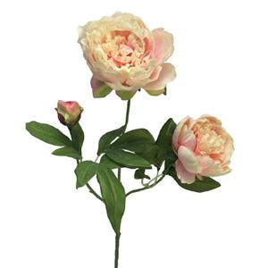 Decoratietakken Pioenroos | Roze/Wit | 70cm