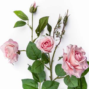 Decoratietakken Rozentak | Roze | 75cm