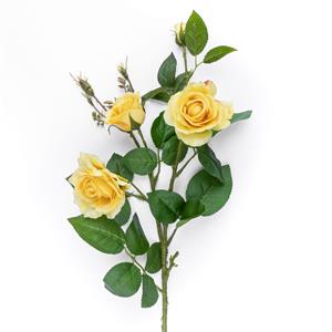 Decoratietakken Rozentak | Geel | 75cm