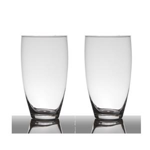 Set van 2x stuks transparante home-basics vaas/vazen van glas 25 x 14 cm -
