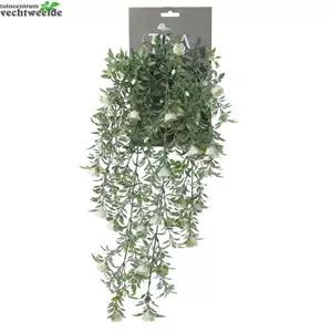 Roos hanger l50cm groen/creme heade