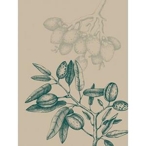 Komar Artprint Wild Mandolino (1 stuk)