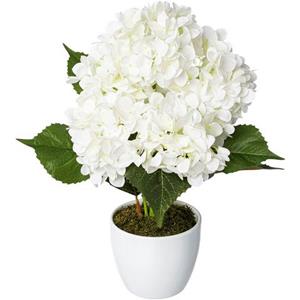 Creativ green Kunstplant Hortensia in een keramische pot (1 stuk)