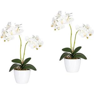 Creativ green Kunstplant Vlinderorchidee (set, 2 stuks)
