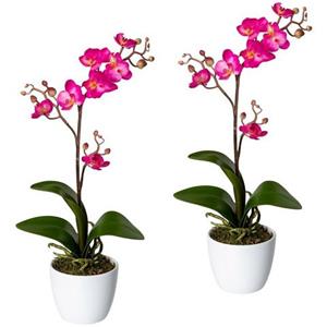 Creativ green Kunstplant Vlinderorchidee in een keramische pot (set, 2 stuks)