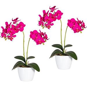 Creativ green Kunstplant Vlinderorchidee (set, 2 stuks)