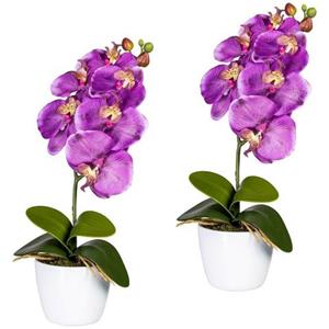 Creativ green Kunstplant Vlinderorchidee in een keramische pot (set, 2 stuks)