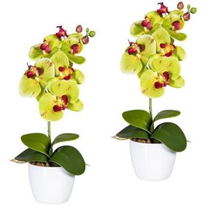 Creativ green Kunstplant Vlinderorchidee in een keramische pot (set, 2 stuks)